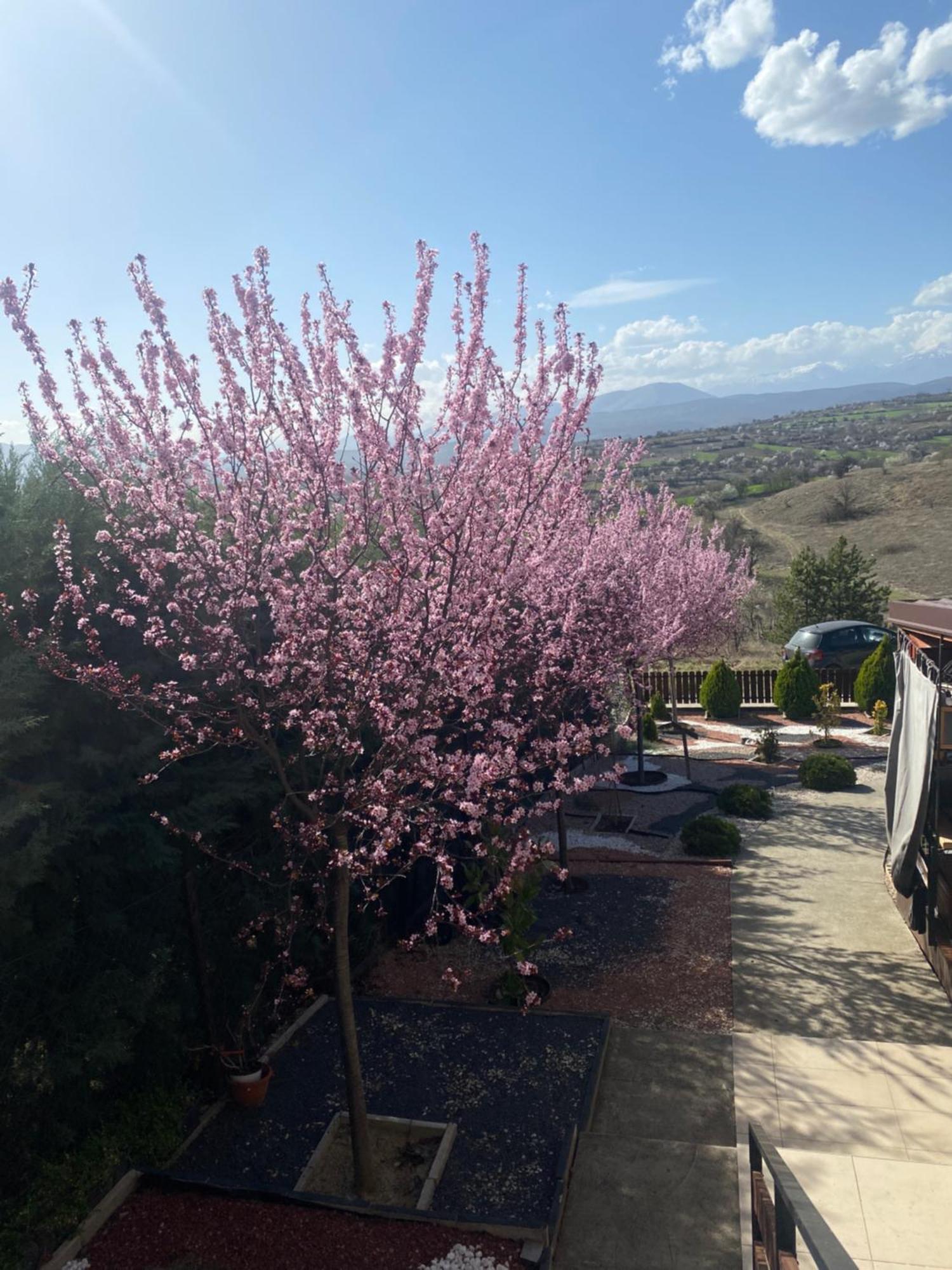 Villa Romantic Mountain 10km To Downtown *